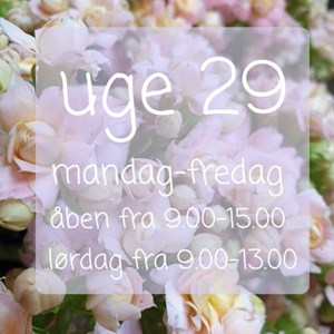Opslagsbillede