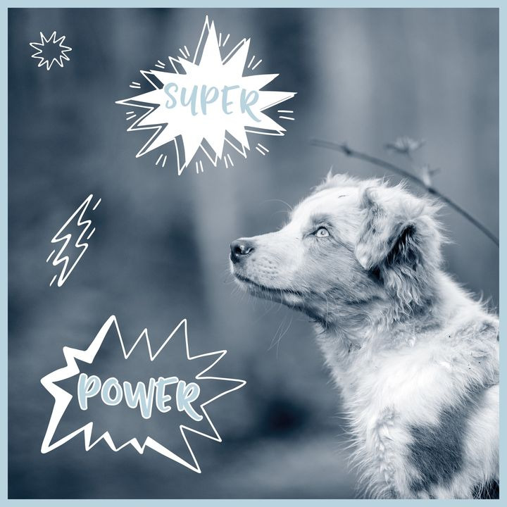 Hold dig ajour med dagens opdateringer fra Hjørring