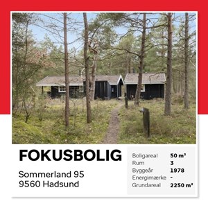 opslagsbillede