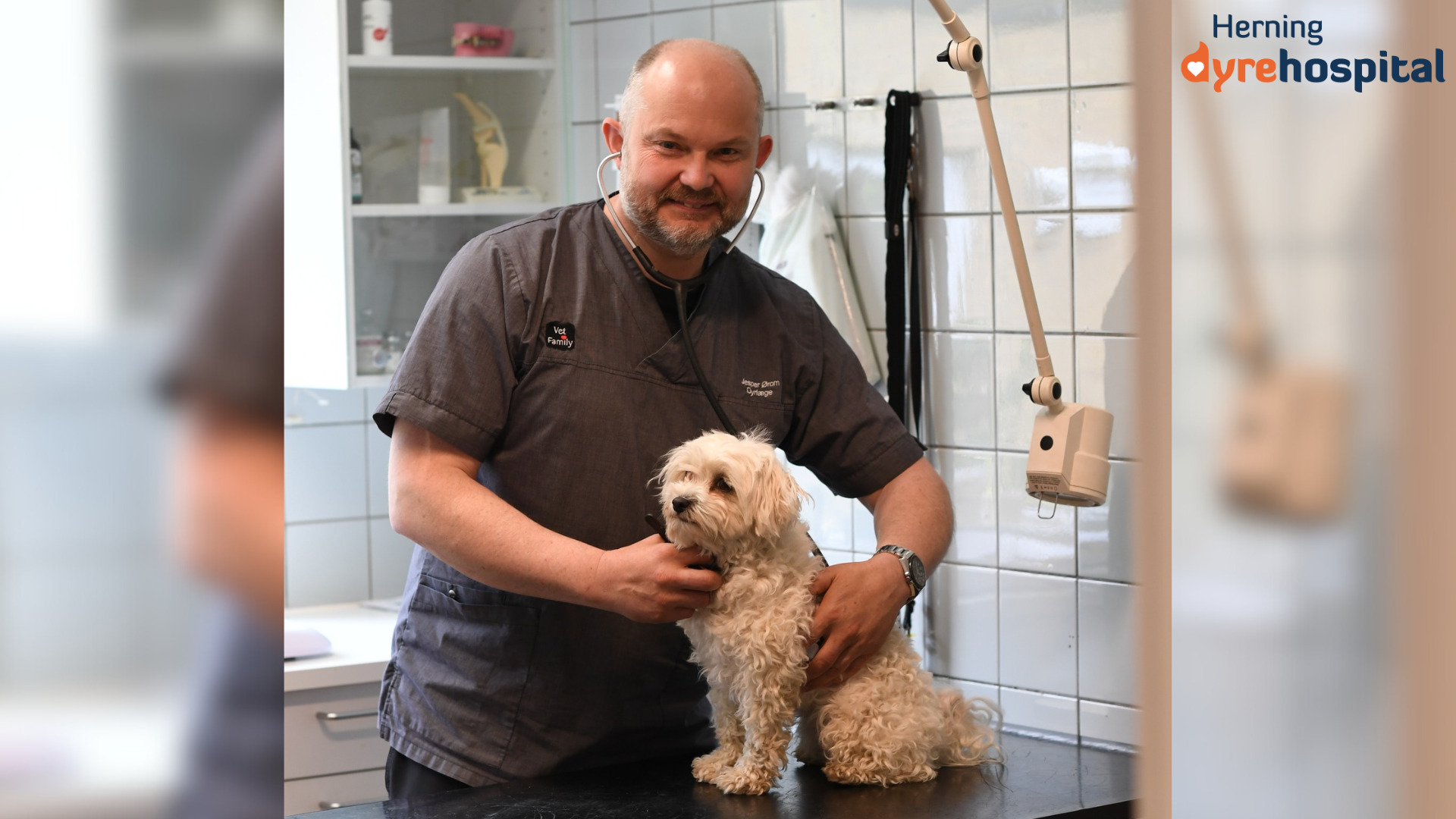 Mød Jesper, dyrlæge og klinikchef hos Herning Dyrehospital