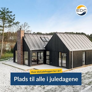 Opslagsbillede