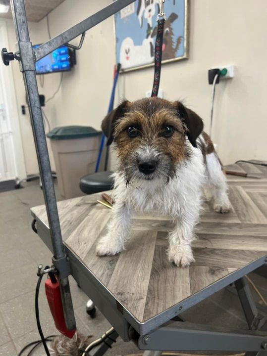 Hold dig ajour med dagens opdateringer fra Sæby