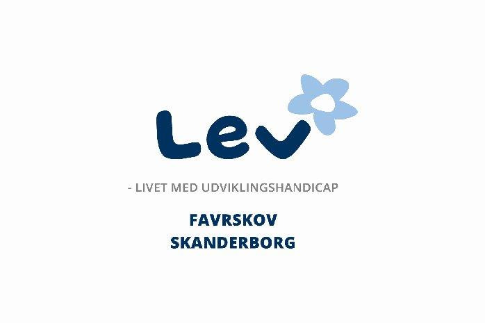 Valgmøde i Galten: Fokus på lige vilkår for mennesker med udviklingshandicap