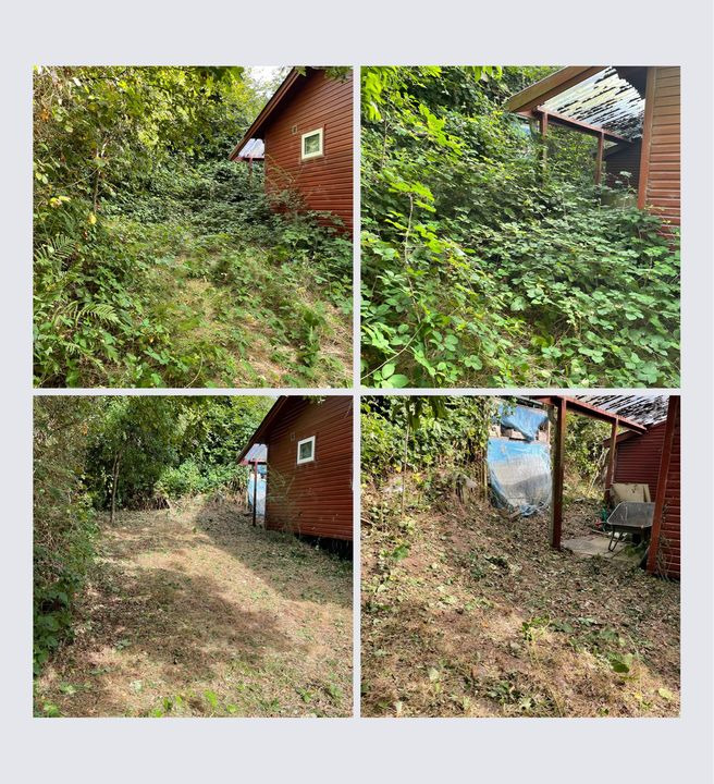 Se dagens updates fra Skive her