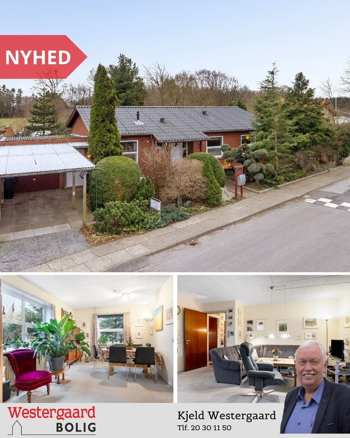 Opdatér dig her: Det nyeste fra Brønderslev