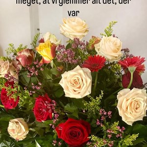 Opslagsbillede