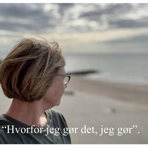 Opslagsbillede