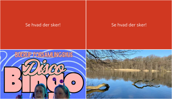 Weekendoplevelser i Jyderup: Disco Bingo og smuk naturvandring