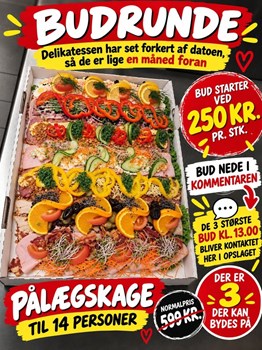 Opslagsbillede