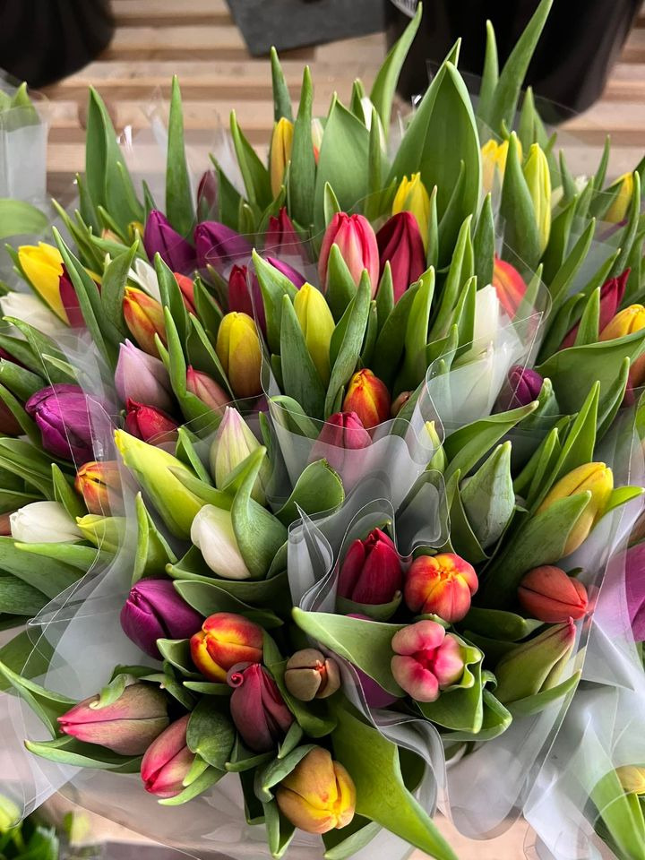 Det nyeste på Hedensteds opslagstavle