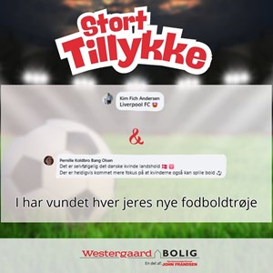 Opslagsbillede