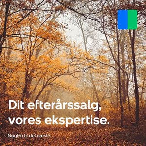 opslagsbillede