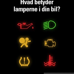 Opslagsbillede