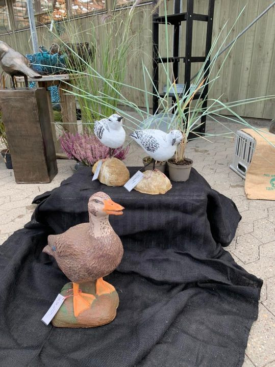 En finger på pulsen i Brønderslev