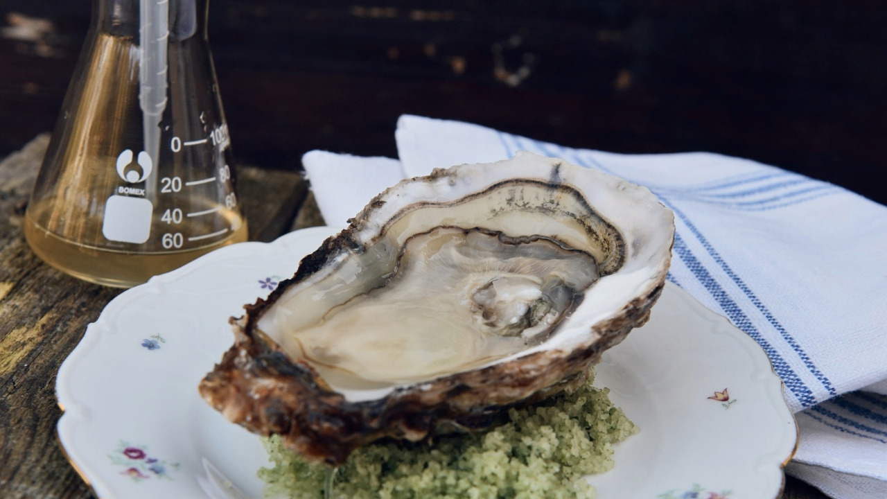 Oplev en unik smagsoplevelse på Vester Vedsted Vingård