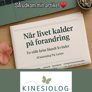Opslagsbillede