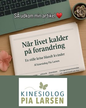 Opslagsbillede