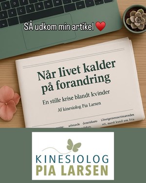 opslagsbillede