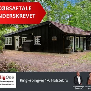 Opslagsbillede
