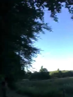 opslagsbillede