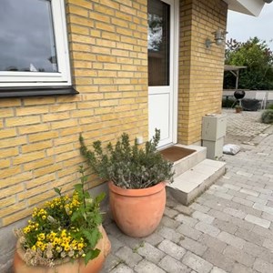 Opslagsbillede