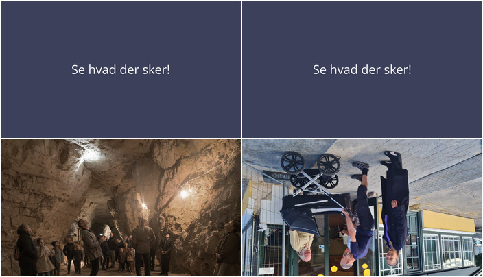 Flagermus-jagt og Fix-It Workshop: Hvad ugen byder på i Skørping