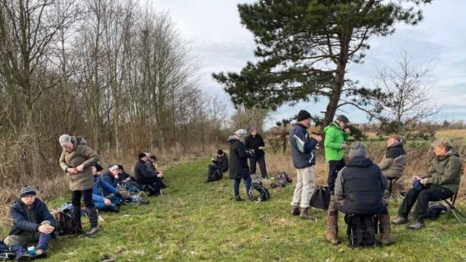 Start året med en forfriskende nytårstur langs Halleby Å