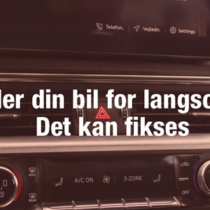 Opslagsbillede
