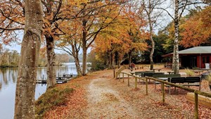 Skyttehusets Outdoor Camp inviterer til efterårsmagi og afslutningsfest i skoven