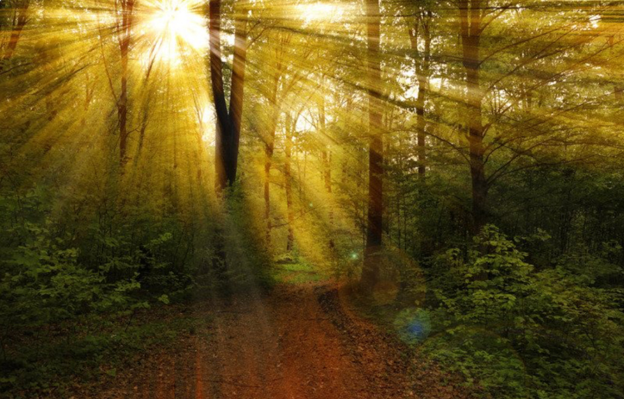 Gaardhøje Begravelsesforretning: Vi skal være der, uden at være der