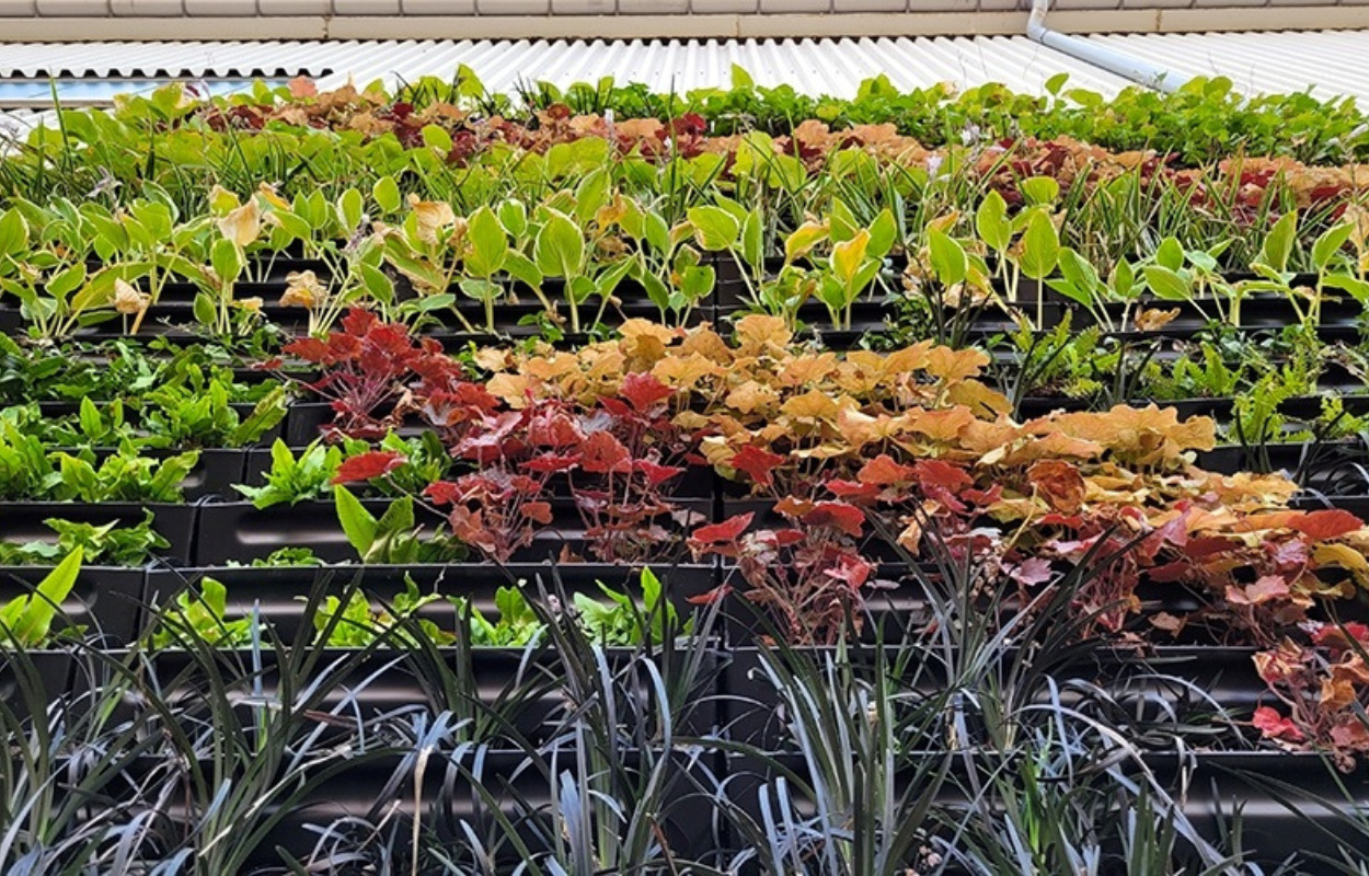 Verdensmålsugen på Slagteriet kommer snart