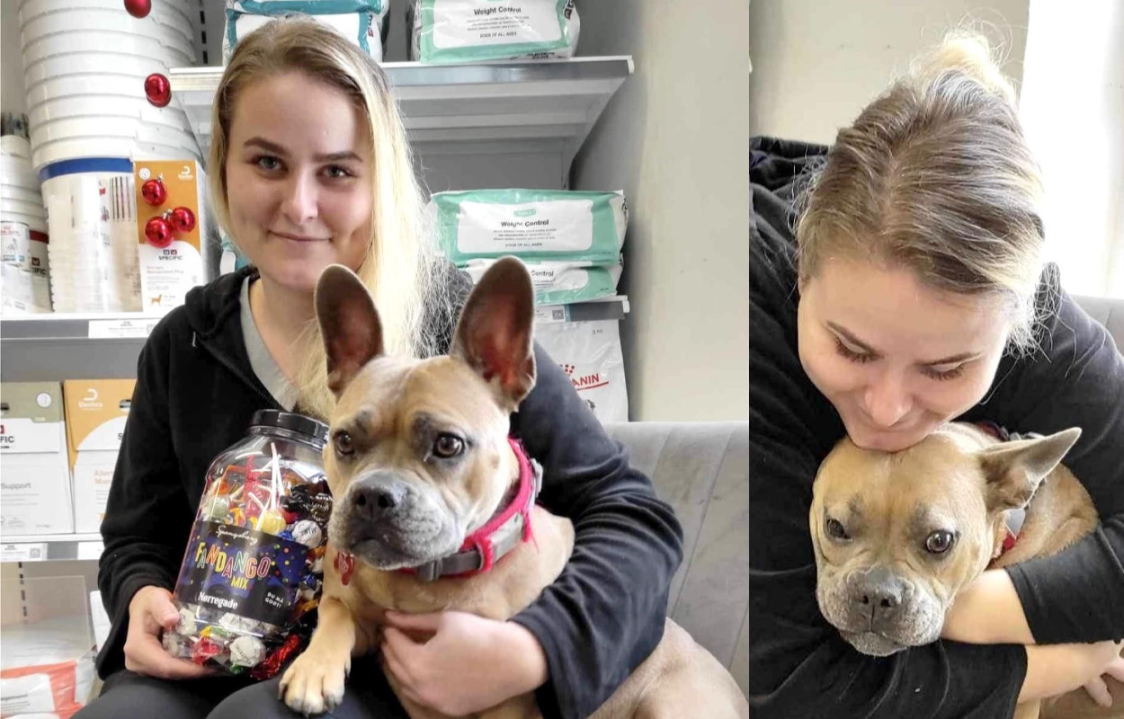 VetFamily Brunder Dyrehospital skaber ekstra glæde med julegaver og lodtrækning til to-benede