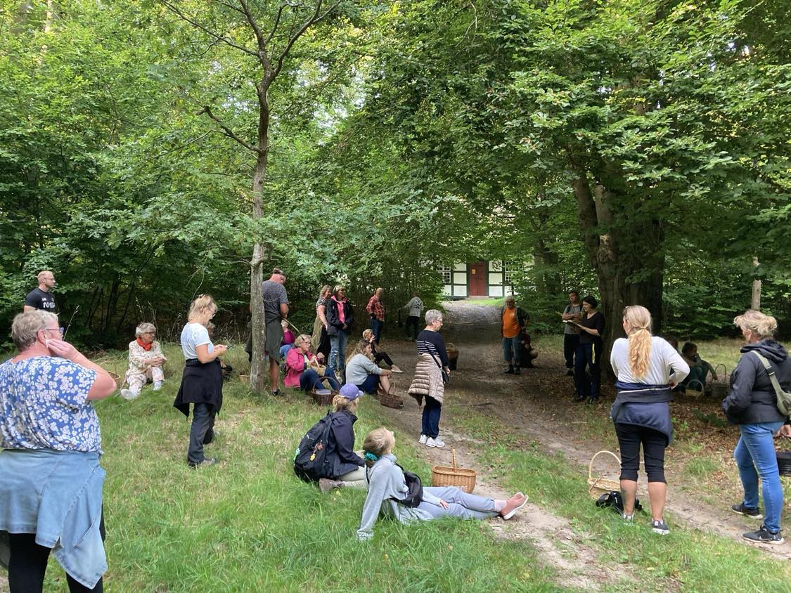 Litterær sanketur i Nordskoven: Oplev naturens spisekammer