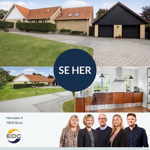 Opslagsbillede