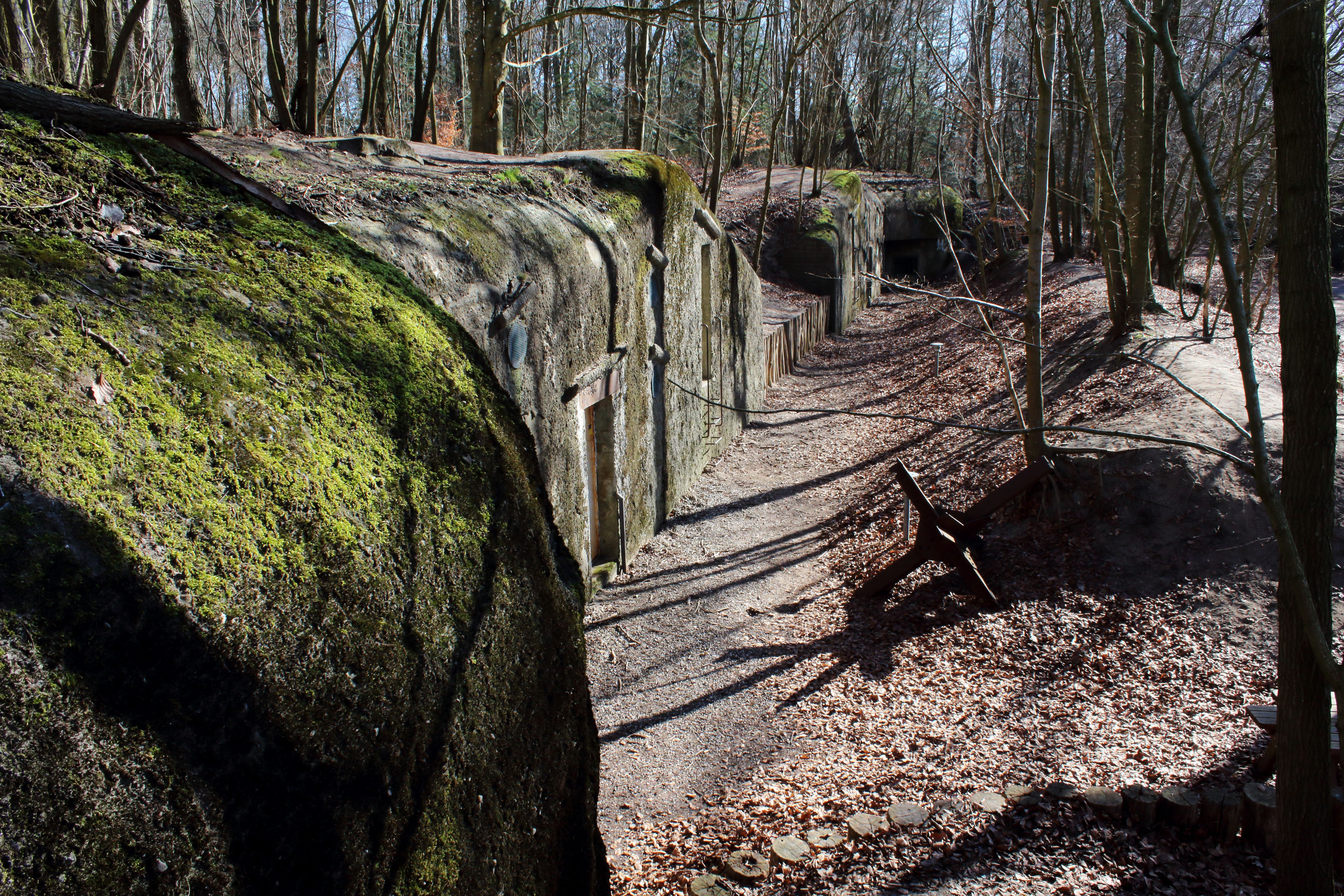 Oplev historien fra 2. verdenskrig i Skanderborg Dyrehave