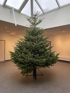 Opslagstavlen: Nyeste opdateringer fra Grenaa