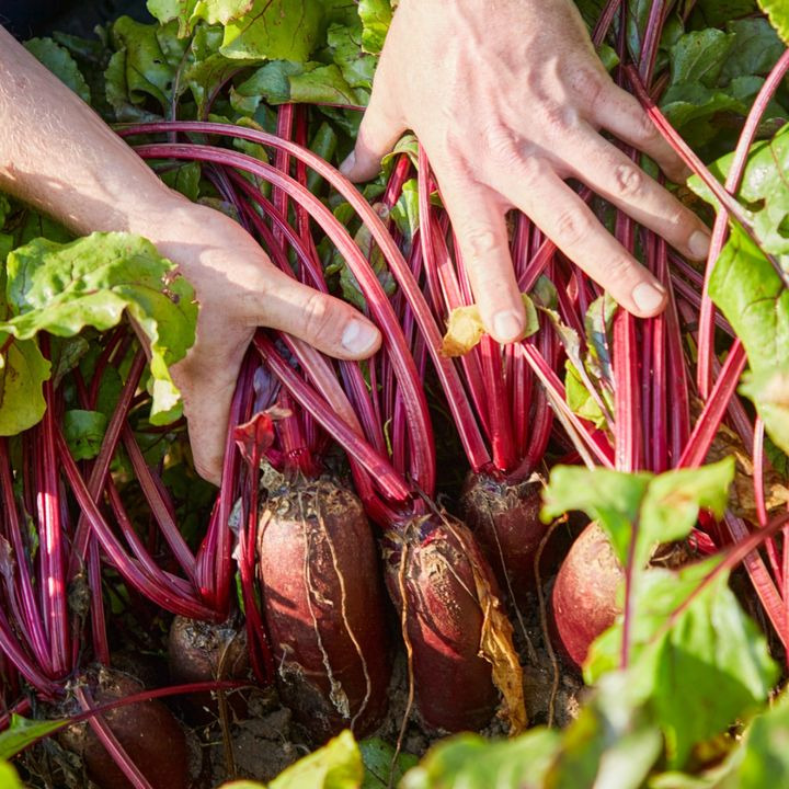 Det nyeste på Frederikshavns opslagstavle