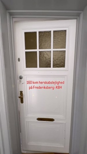 opslagsbillede