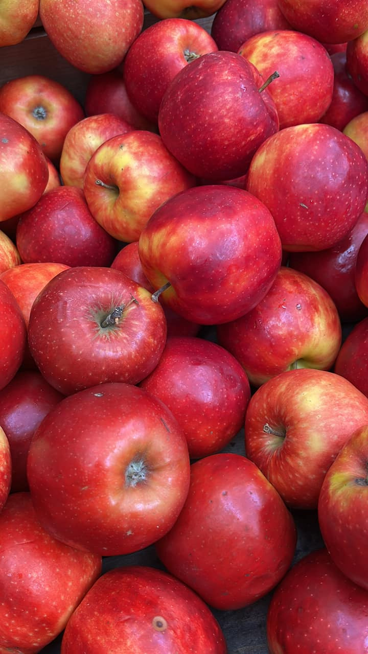 Opslagstavlen: Nyeste opdateringer fra Horsens