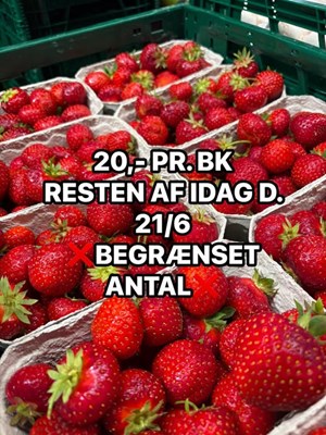 opslagsbillede