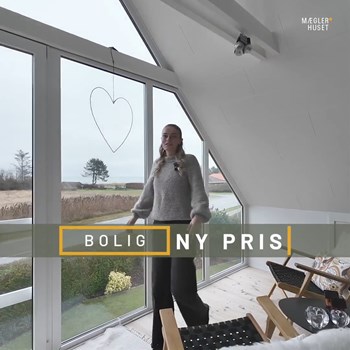 Opslagsbillede