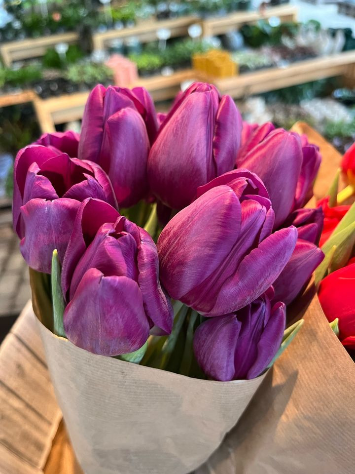 Se dagens updates fra Horsens her