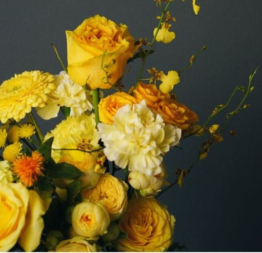 Opdatér dig her: Det nyeste fra Herning