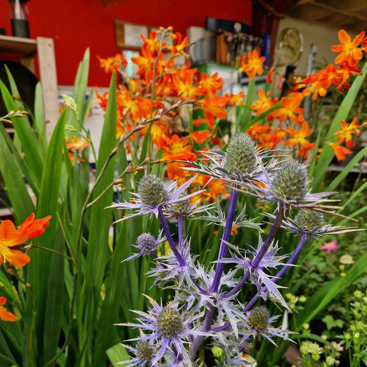 Opslagstavlen: Nyeste opdateringer fra Hobro