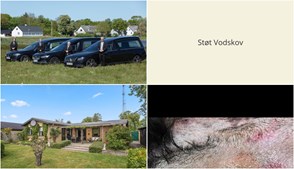 Nyt fra Bedemand Kent Sigsgaard, Vodskov Dyreklinik v/Thorstein Arnason og Mæglerhuset
