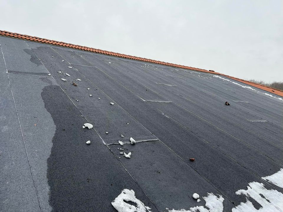 Opdatér dig her: Det nyeste fra Møldrup