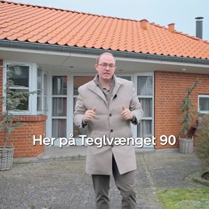 Opslagsbillede