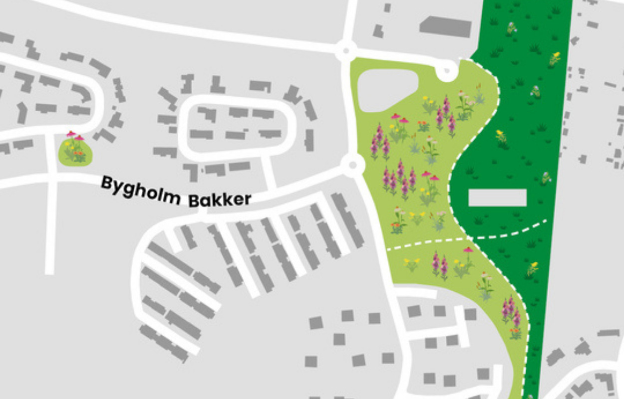 Nyt spisekammer til insekter i Horsens Kommune 