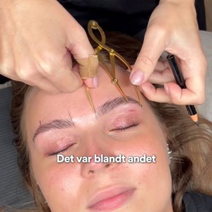 Opslagsbillede