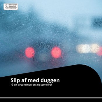 Opslagsbillede